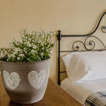 Antico Casale Mattei - Adult Only Corneliano d'Alba