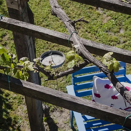 Antico Casale Mattei - Adult Only فندق مبيت وإفطار 3*