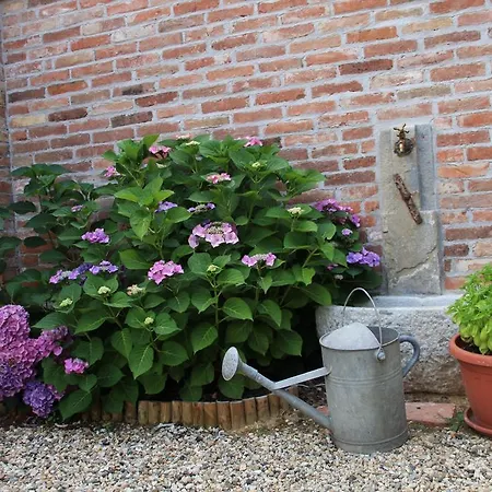 Antico Casale Mattei - Adult Only Bed & Breakfast